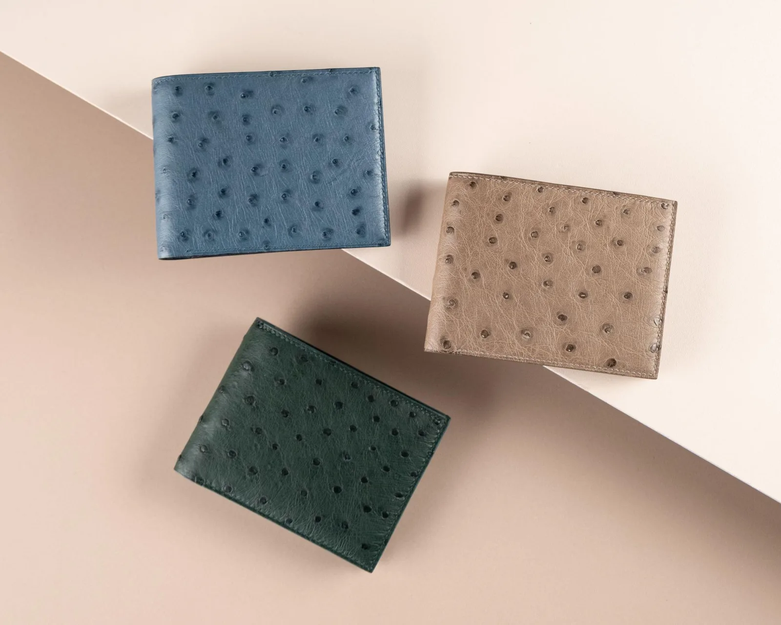 Bifold Wallet Ví Nam Da đà điểu