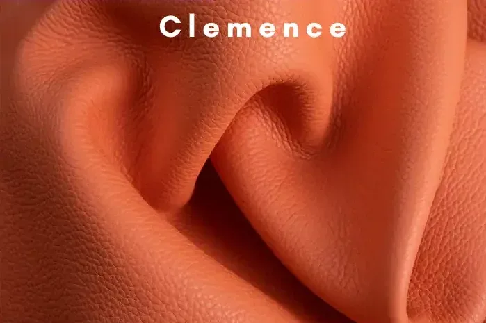 Da Togo Vs Da Clemence: Nên Chọn Loại Nào?