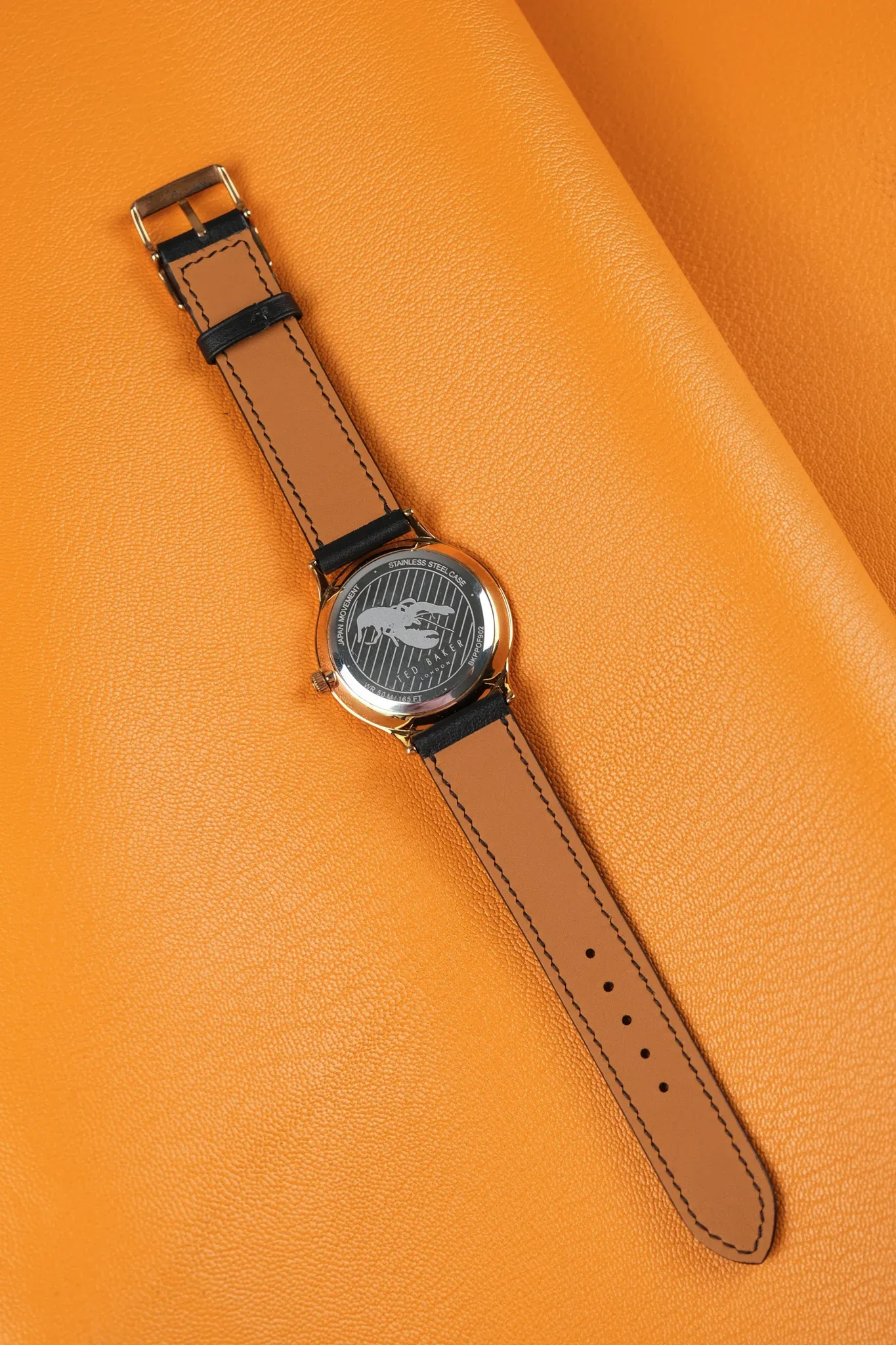 Ảnh Studio Dây da đồng hồ Ted Baker - KOI Leather