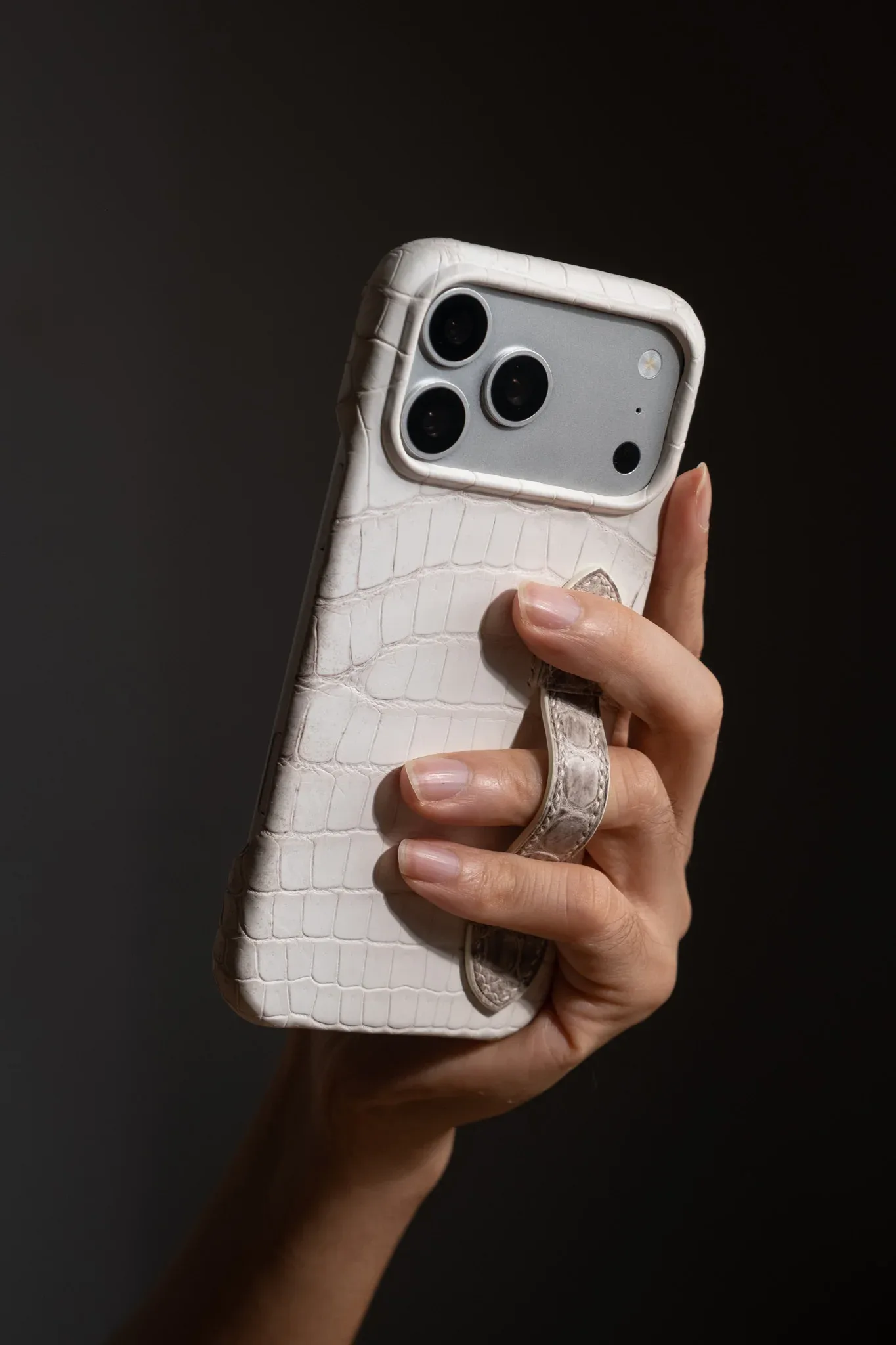 Ảnh Studio Ốp iphone Hima - Koi Leather