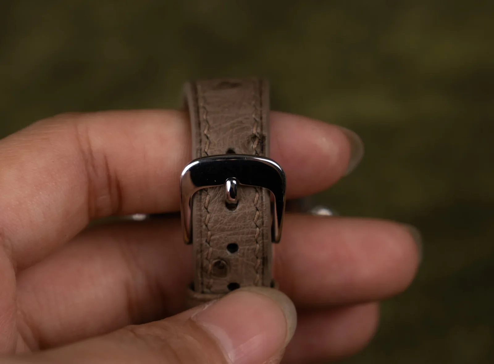 Ảnh Studio Dây đồng hồ đà điểu xám - Koi Leather