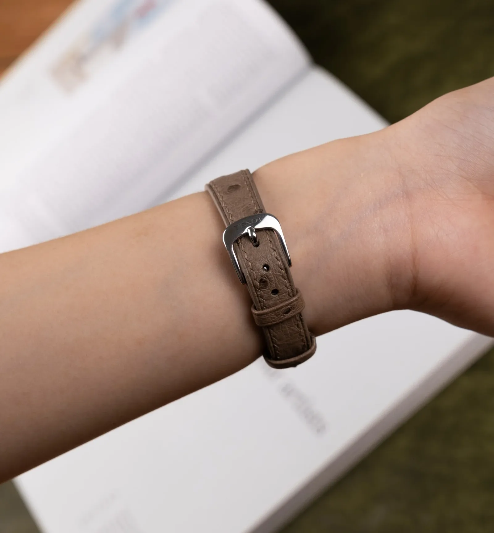 Ảnh Studio Dây đồng hồ đà điểu xám - Koi Leather