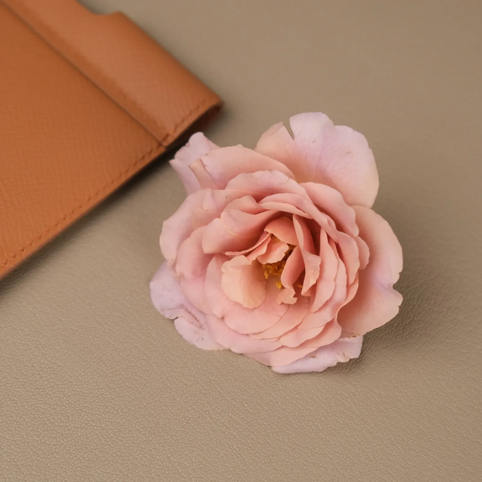 Ảnh Studio Ví đựng hộ chiếu - epsom Gold - Koi Leather