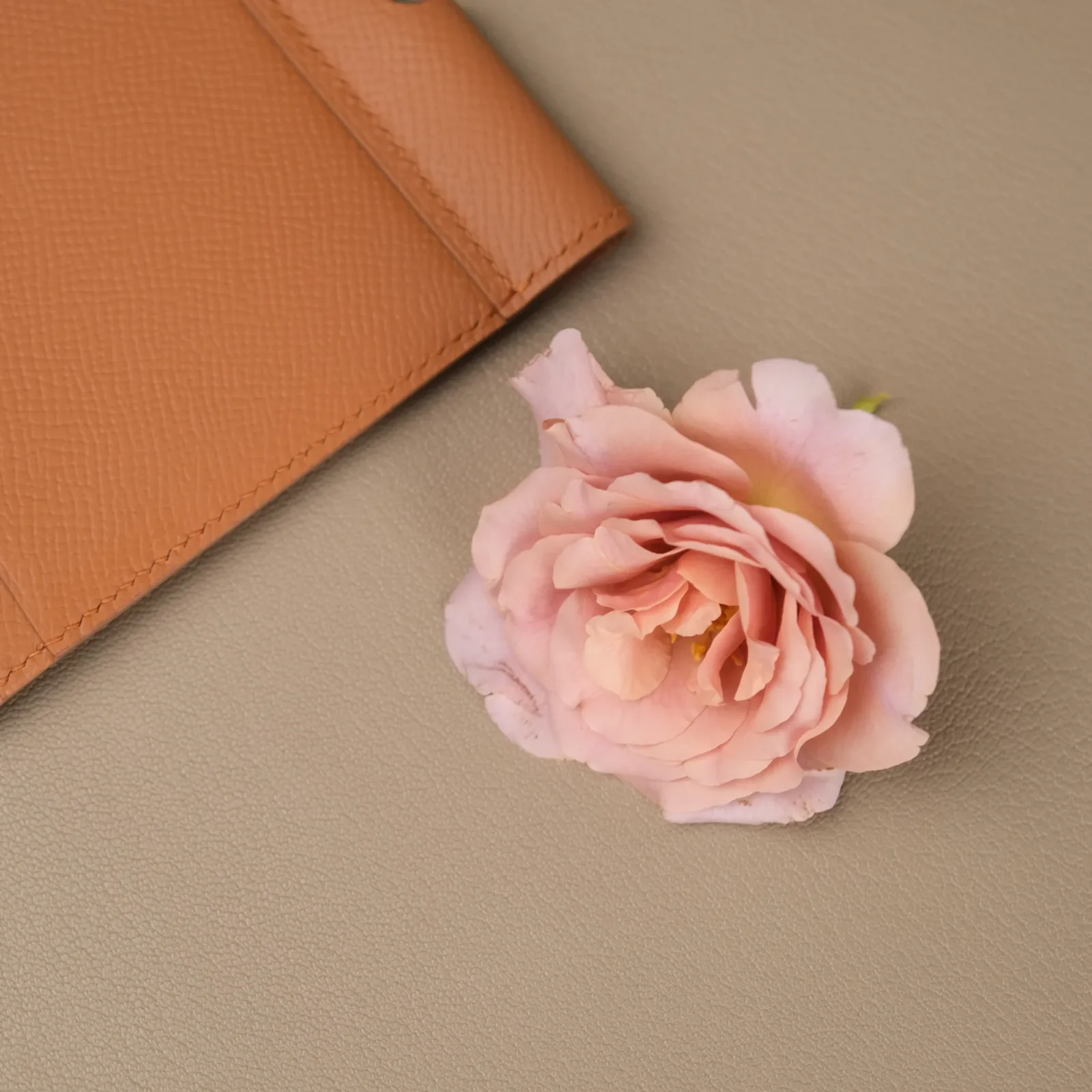 Ảnh Studio Ví đựng hộ chiếu - epsom Gold - Koi Leather