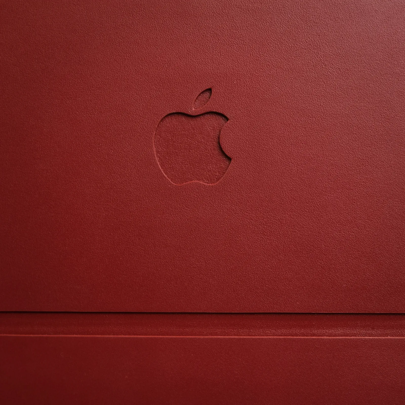Ảnh Studio Ốp Ipad - KOI Leather