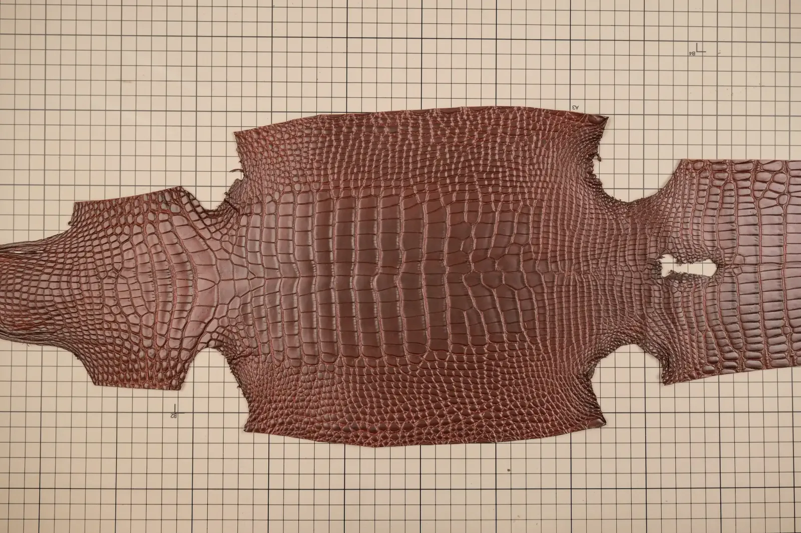 Da Cá Sấu Pháp Alligator - Hình 19
