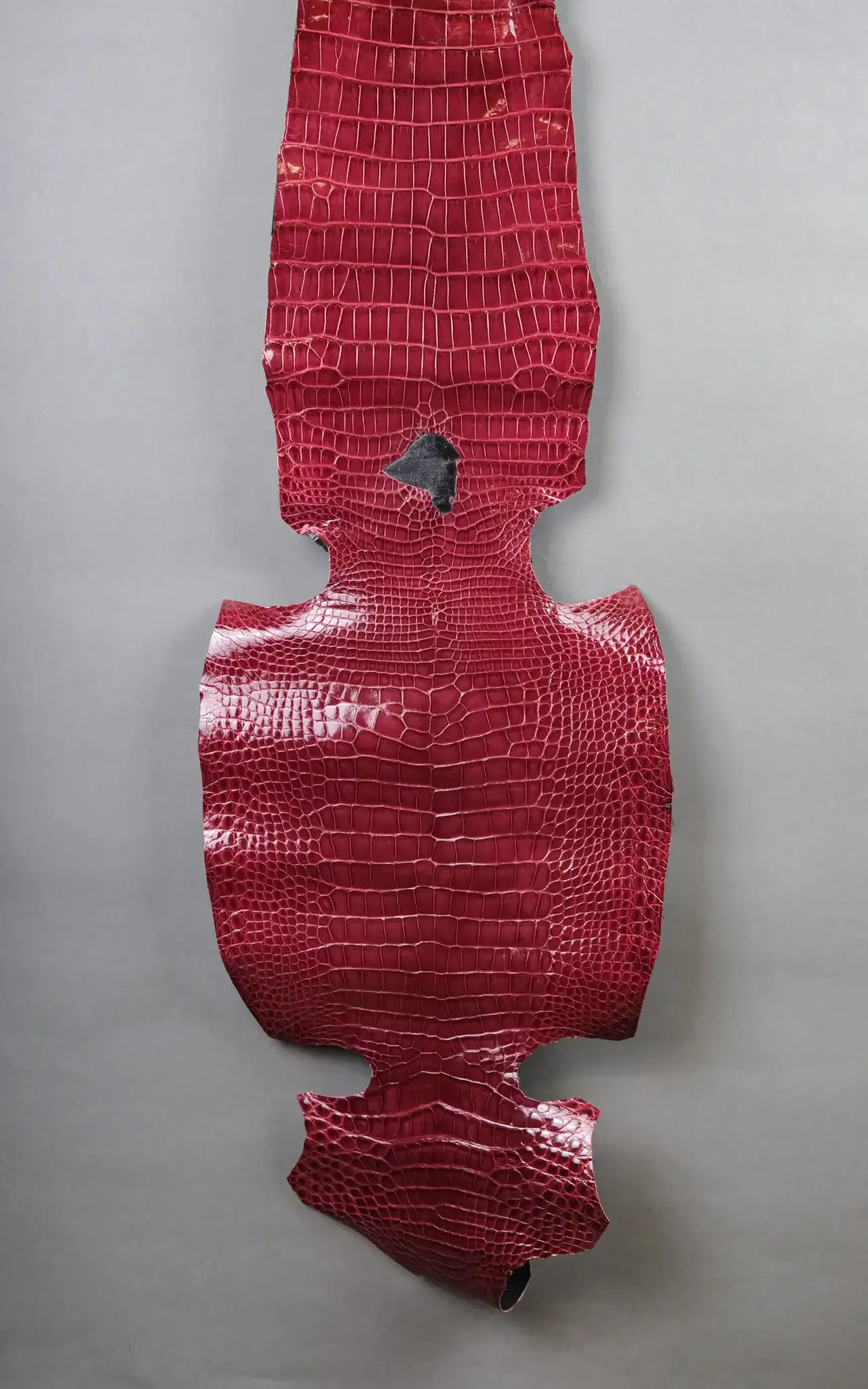 Da Cá Sấu Pháp Alligator - Hình 26