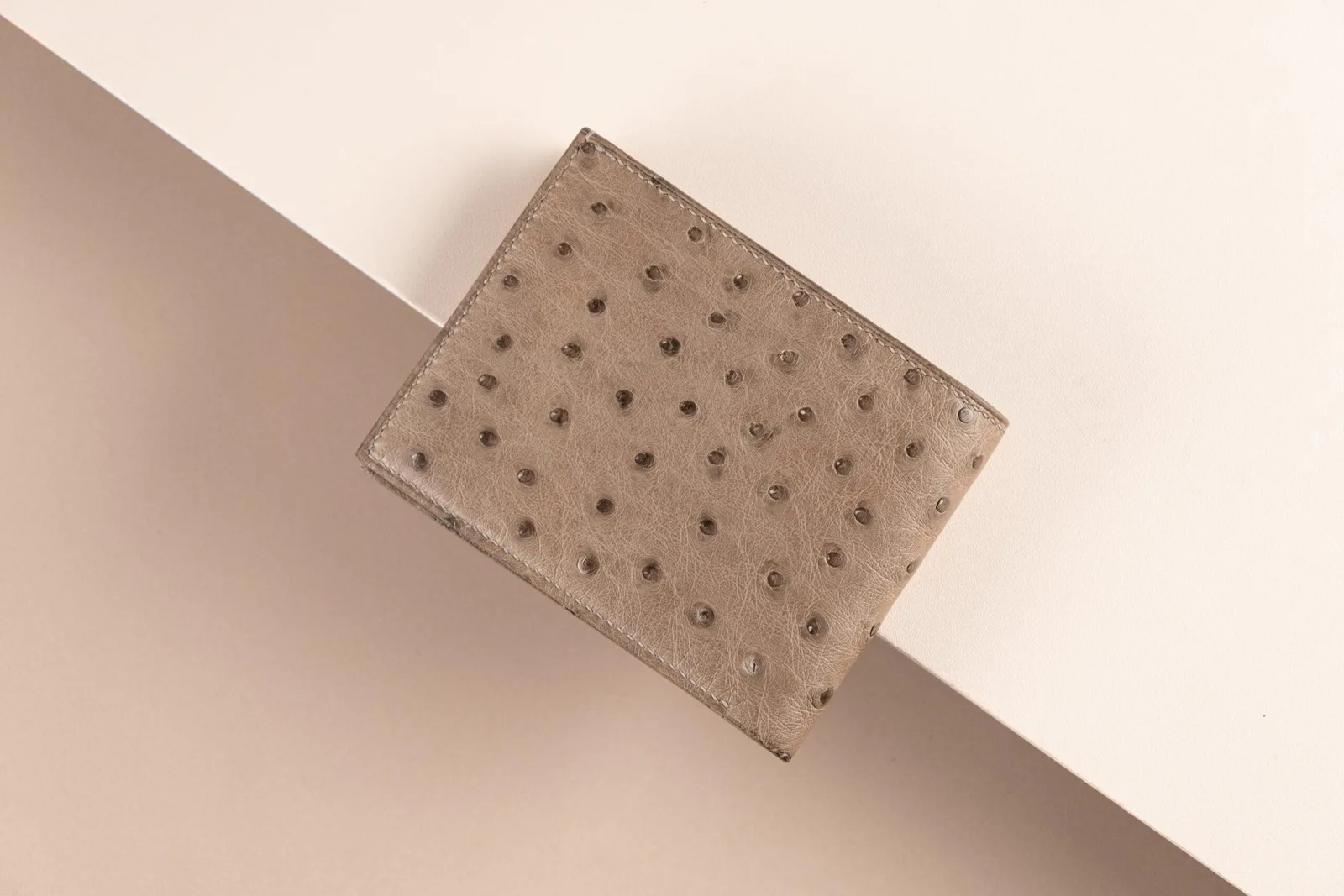 Bifold Waller - Ví nam da đà điểu - Hình 10