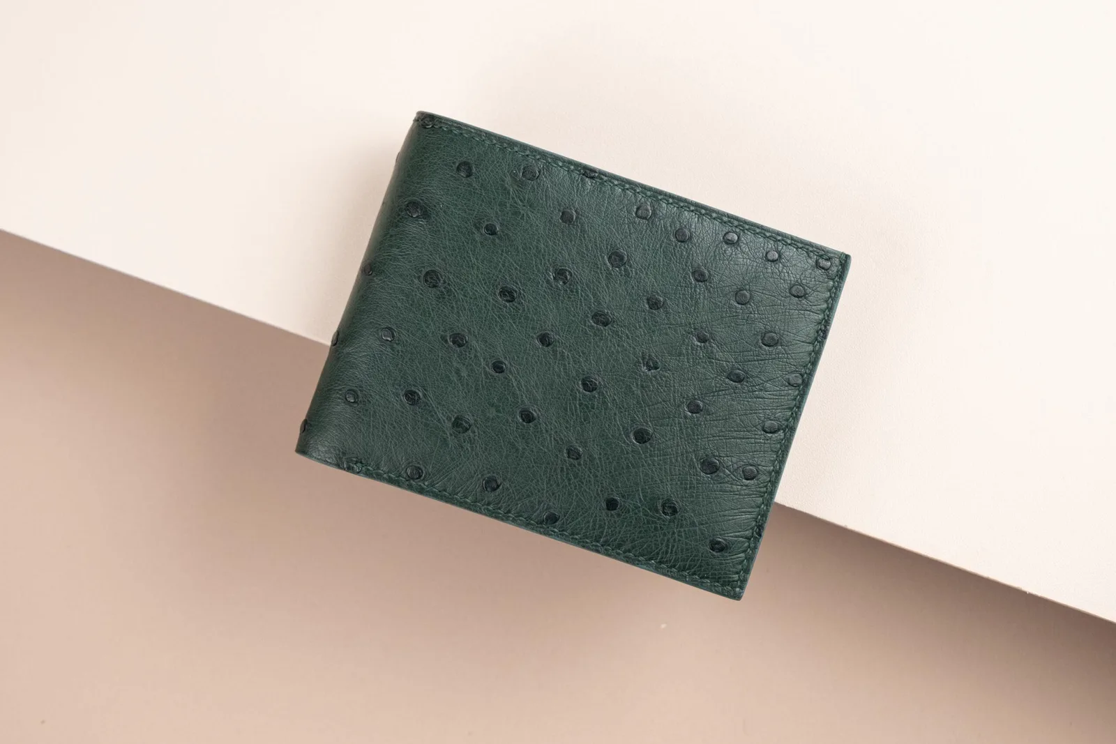 Bifold Waller - Ví nam da đà điểu - Hình 6