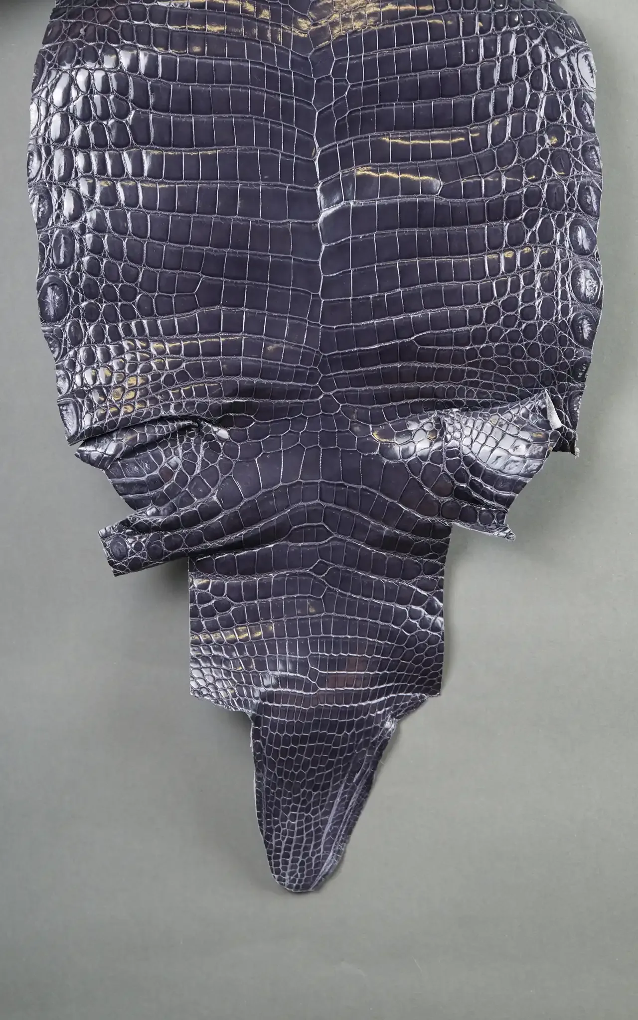 Da Cá Sấu Pháp Alligator - Hình 23