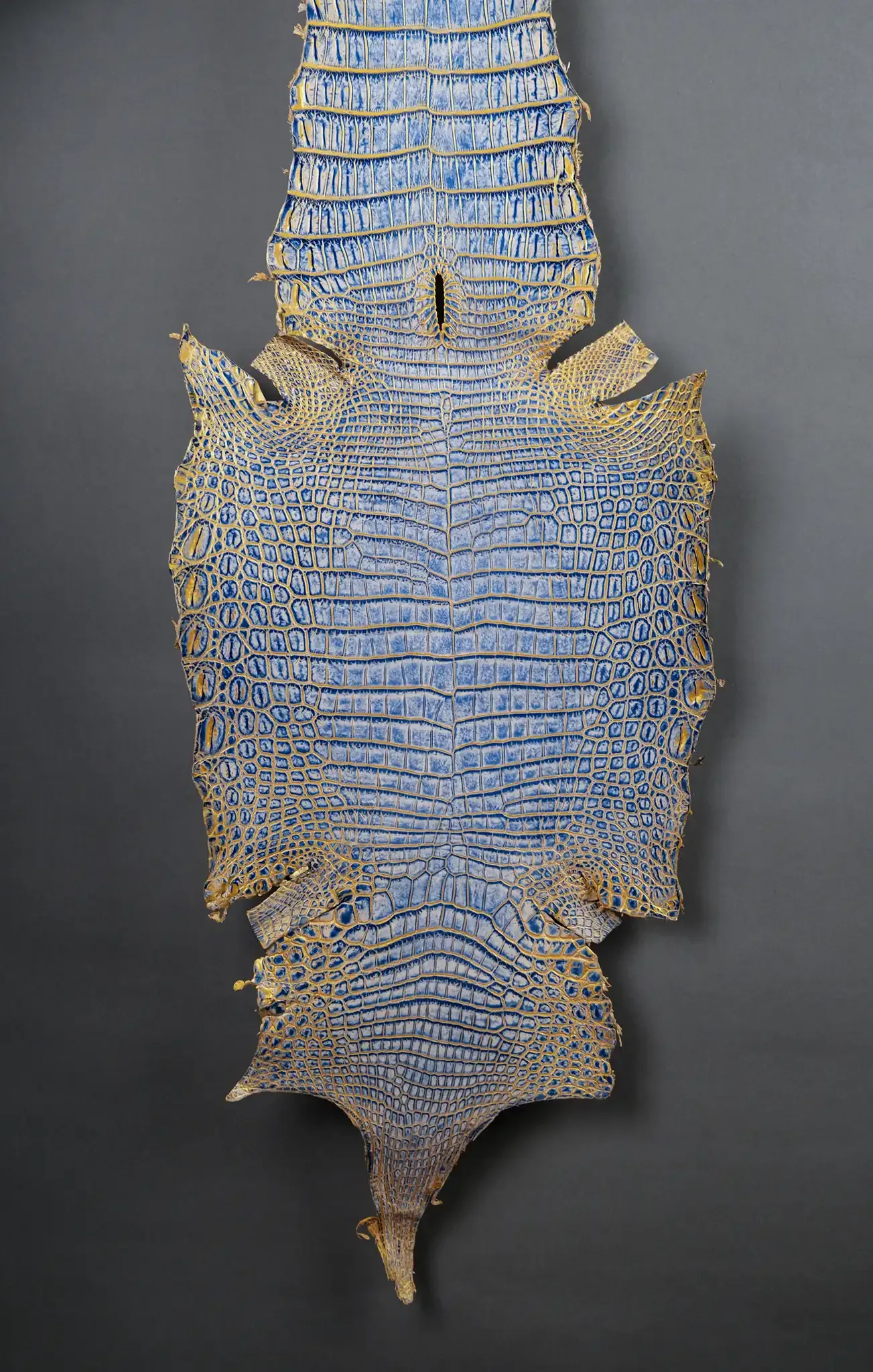 Da Cá Sấu Pháp Alligator - Hình 8