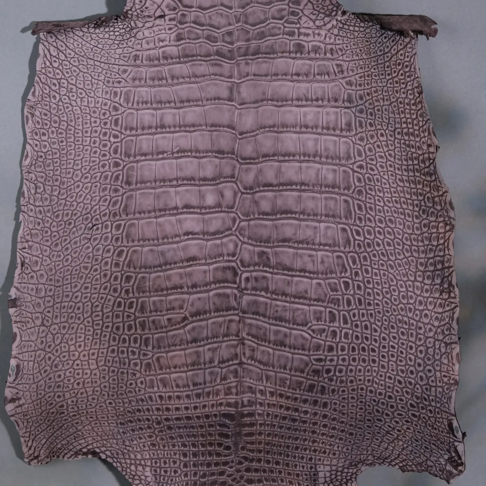 Da Cá Sấu Pháp Alligator - Hình 35
