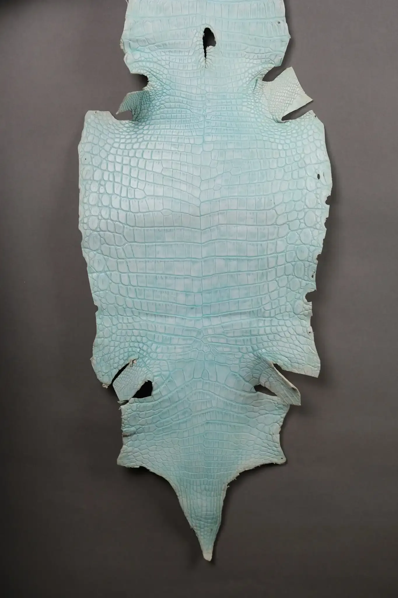 Da Cá Sấu Pháp Alligator - Hình 15
