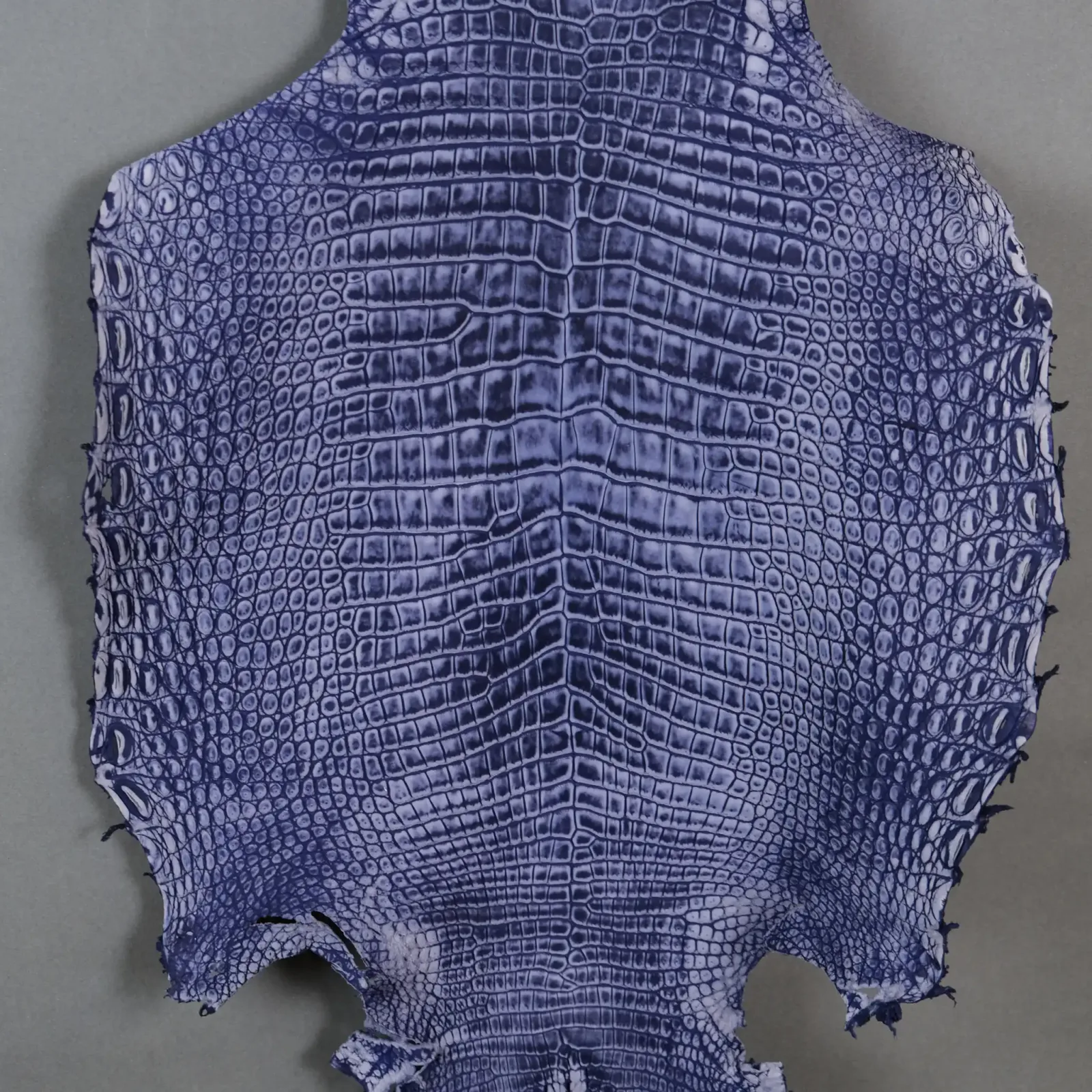 Da Cá Sấu Pháp Alligator - Hình 32