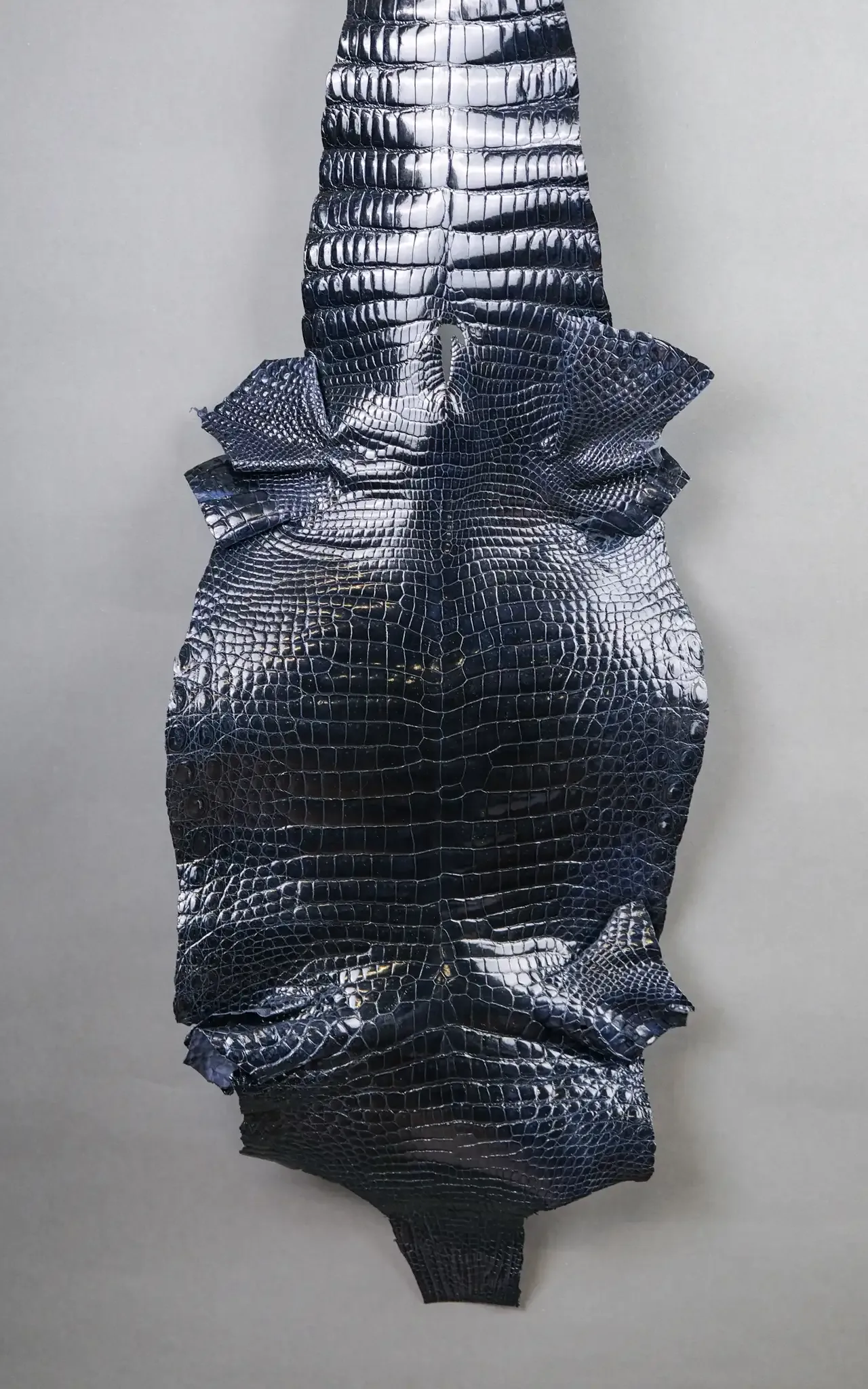 Da Cá Sấu Pháp Alligator - Hình 24