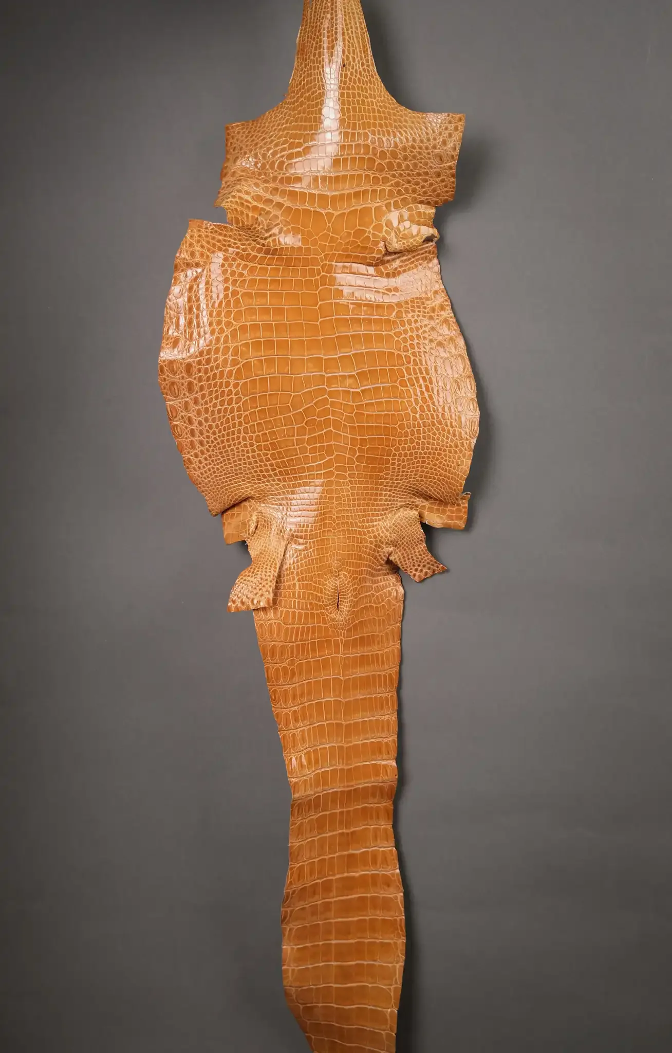 Da Cá Sấu Pháp Alligator - Hình 33