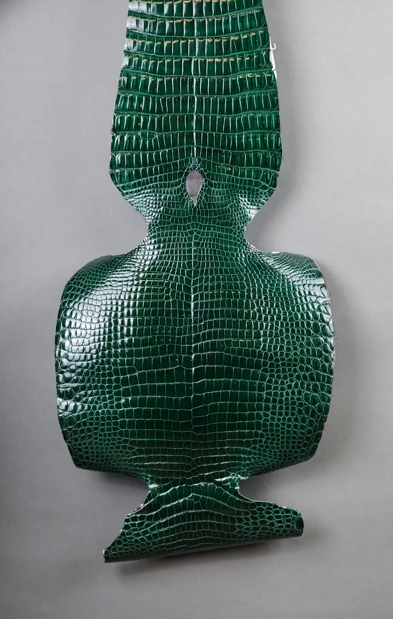 Da Cá Sấu Pháp Alligator - Hình 25