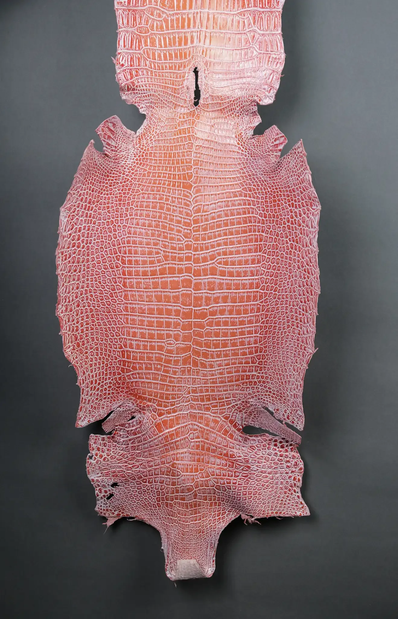 Da Cá Sấu Pháp Alligator - Hình 13