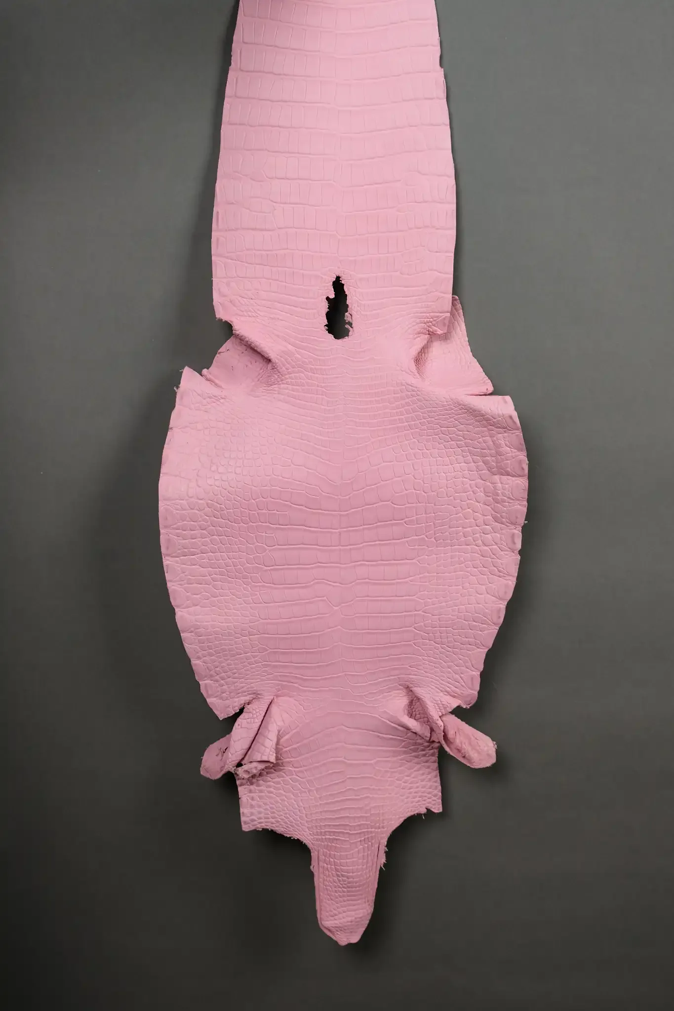 Da Cá Sấu Pháp Alligator - Hình 16