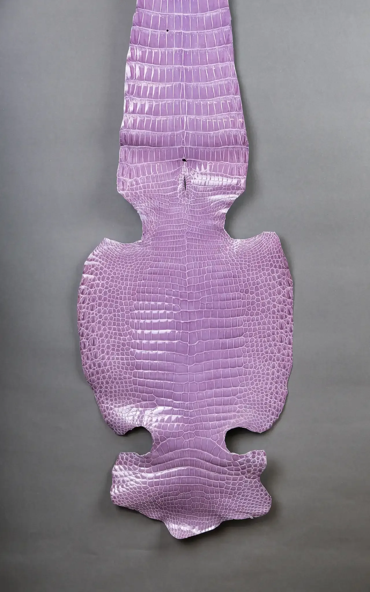 Da Cá Sấu Pháp Alligator - Hình 20