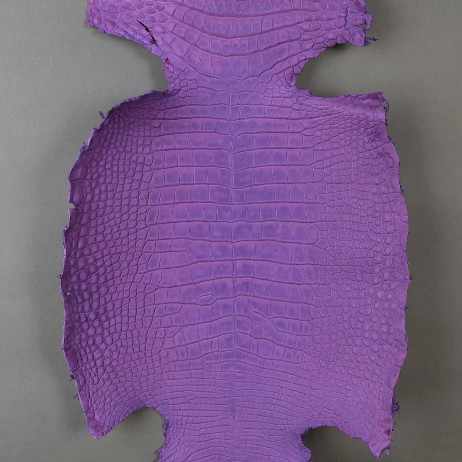 Da Cá Sấu Pháp Alligator - Hình 29