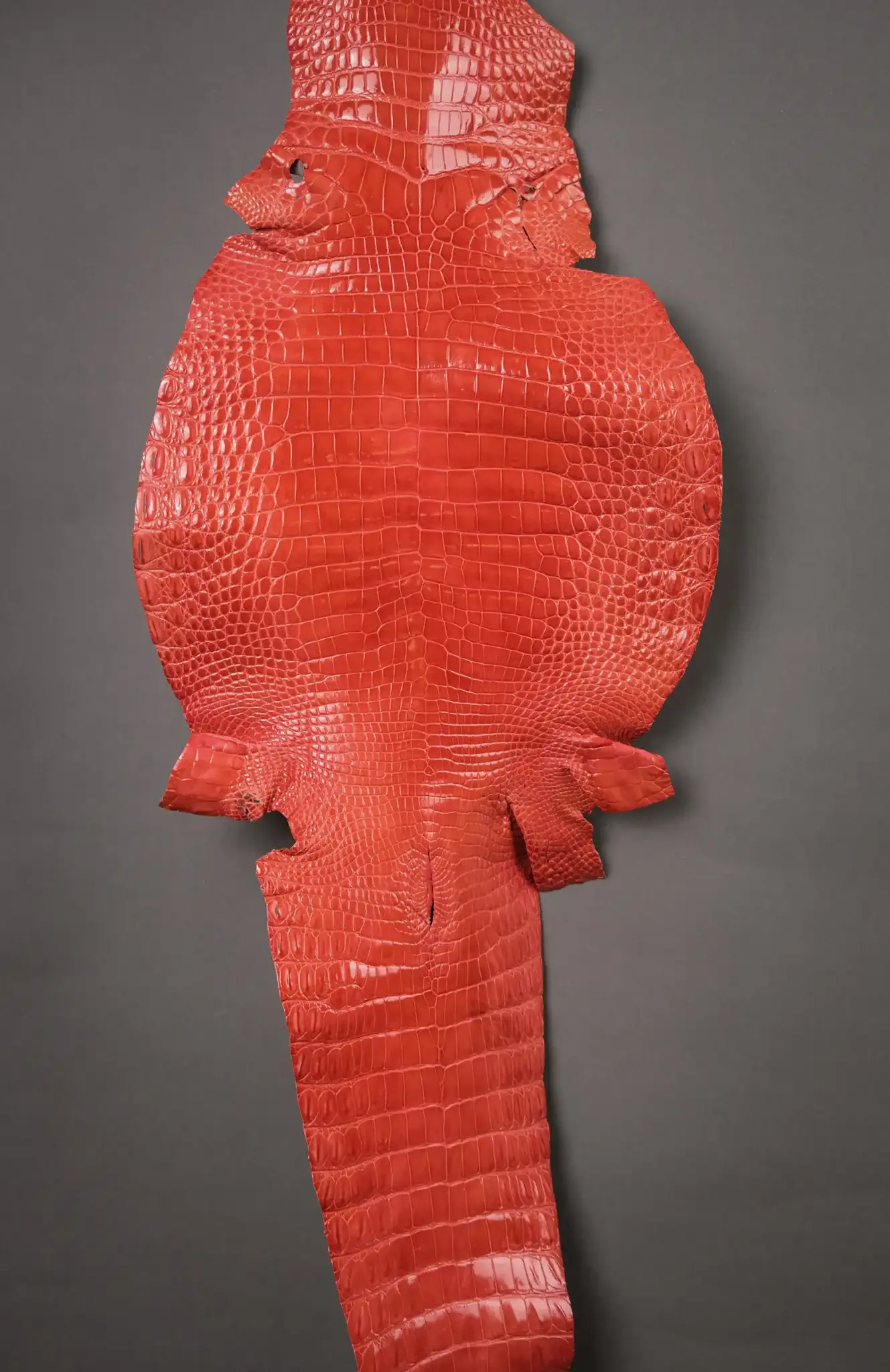 Da Cá Sấu Pháp Alligator - Hình 30