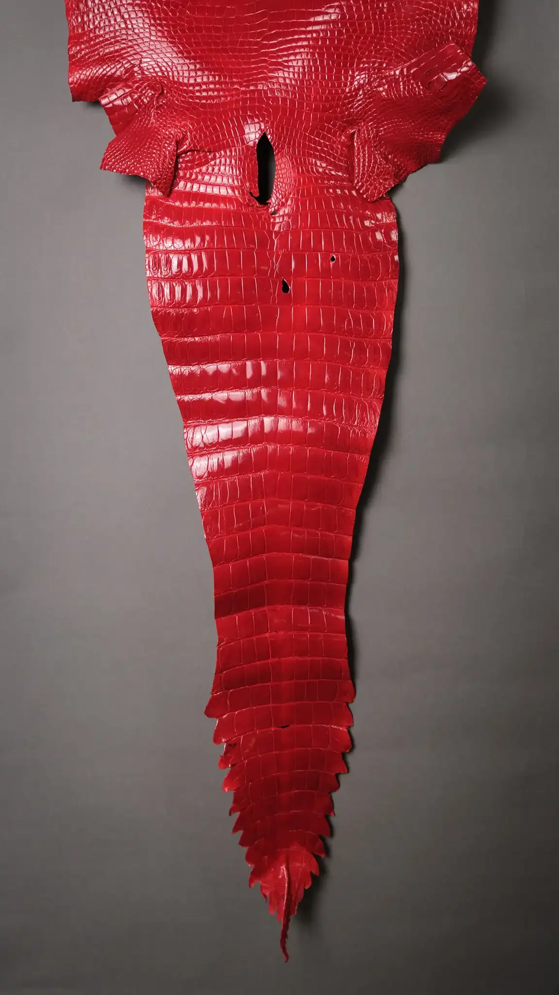 Da Cá Sấu Pháp Alligator - Hình 31