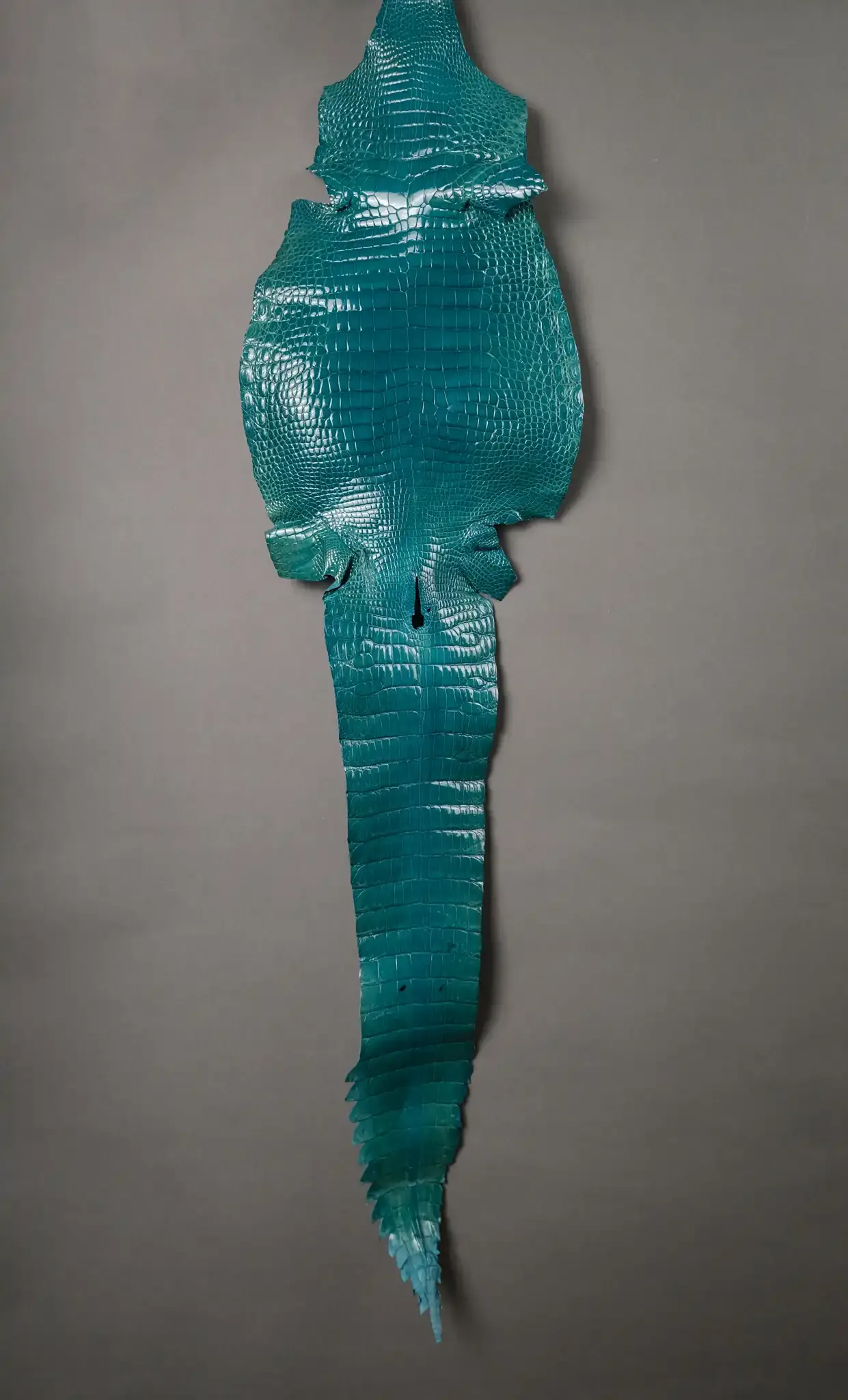 Da Cá Sấu Pháp Alligator - Hình 27