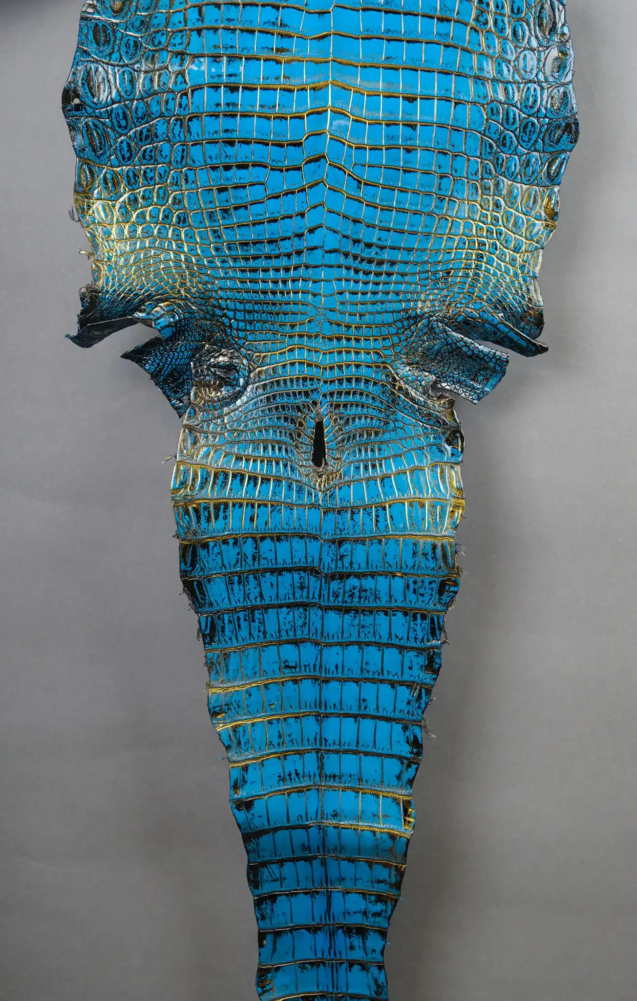 Da Cá Sấu Pháp Alligator - Hình 10
