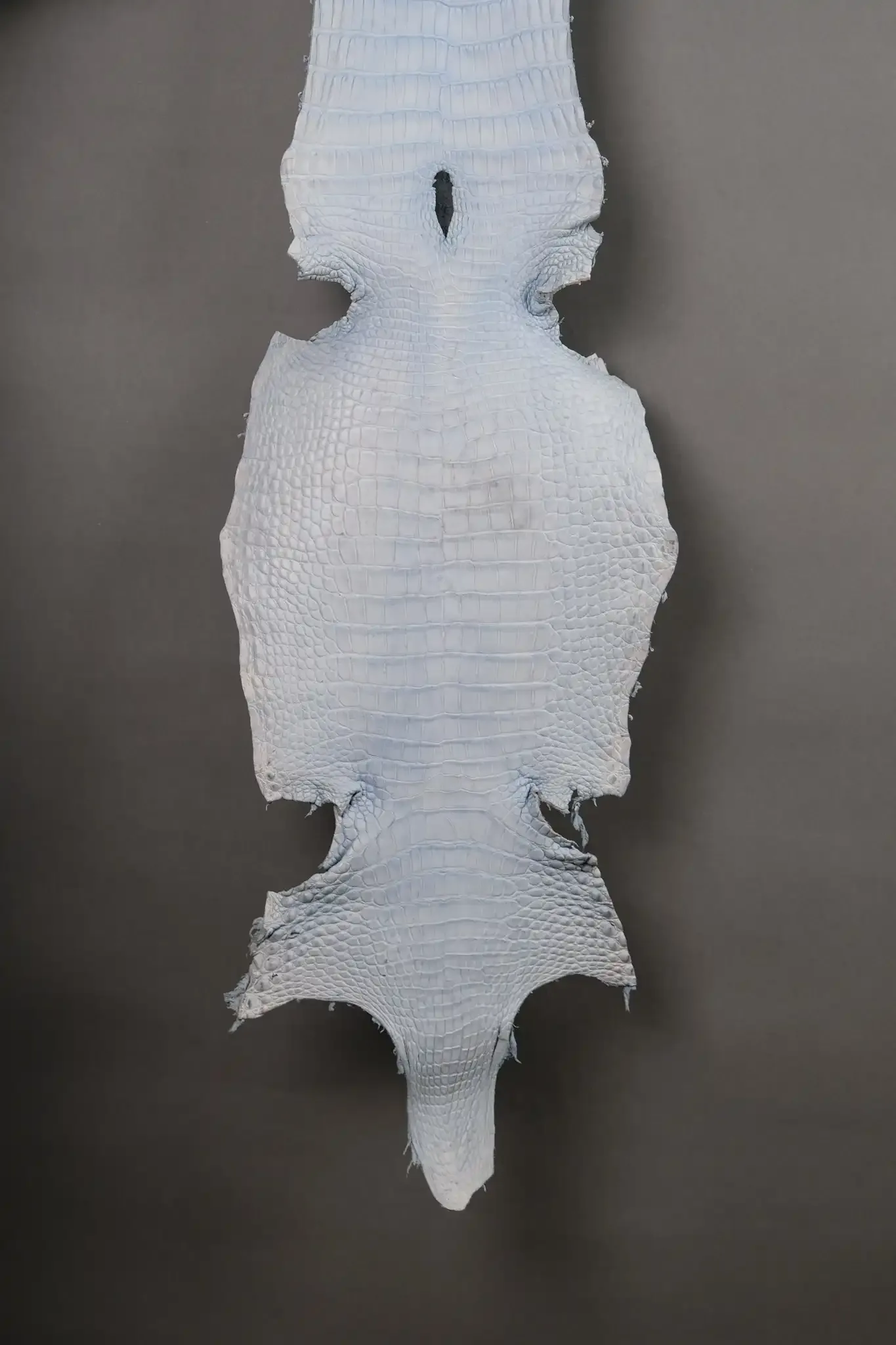 Da Cá Sấu Pháp Alligator - Hình 22