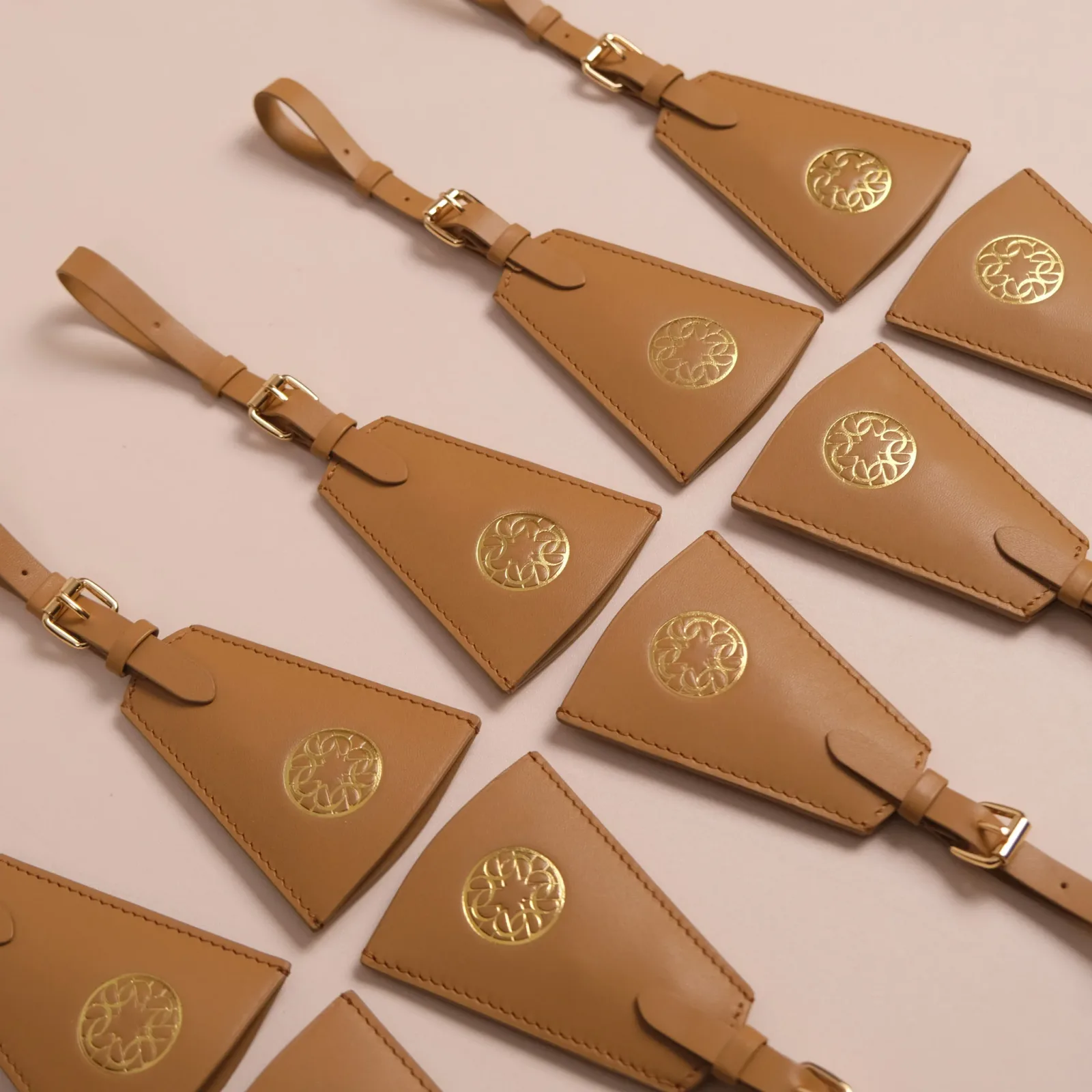 Ảnh Studio Masterise Key - Koi Leather