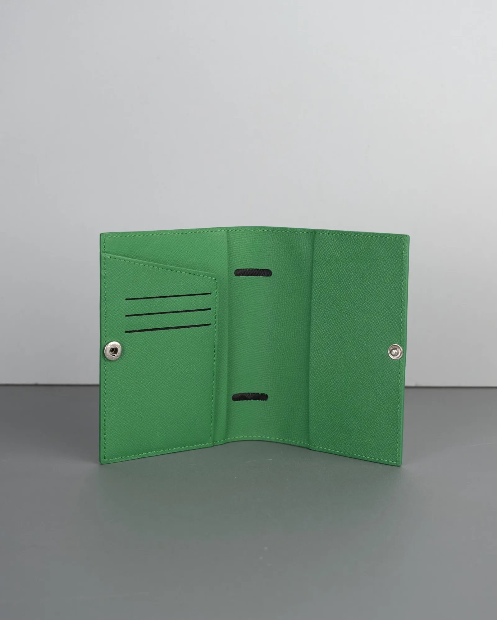 Ảnh Studio Passport - Koi Leather