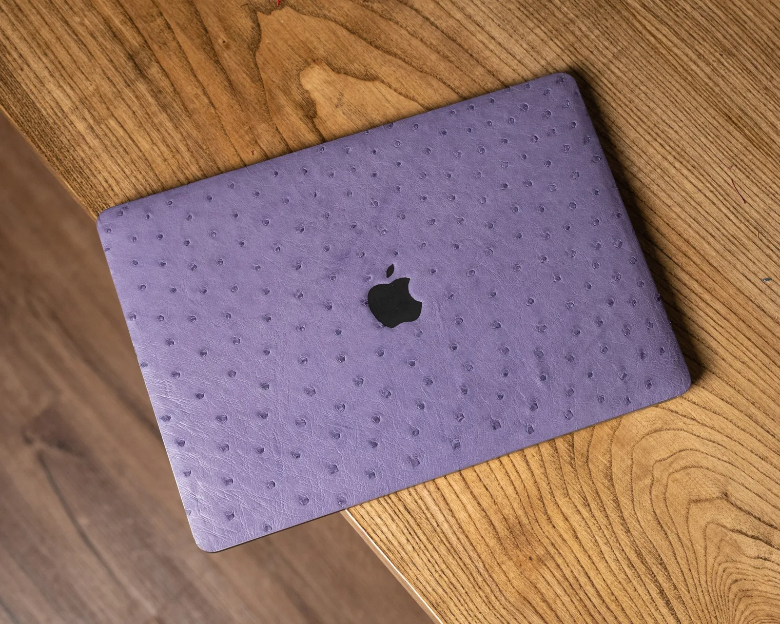 Ảnh Studio Miếng dán da lưng iPad da đà điểu - Koi Leather