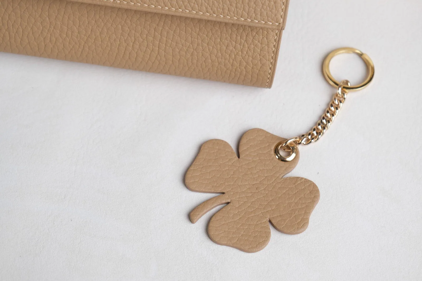 Wallet On Chain - Da Clemence - BurlyWood - Hình 13